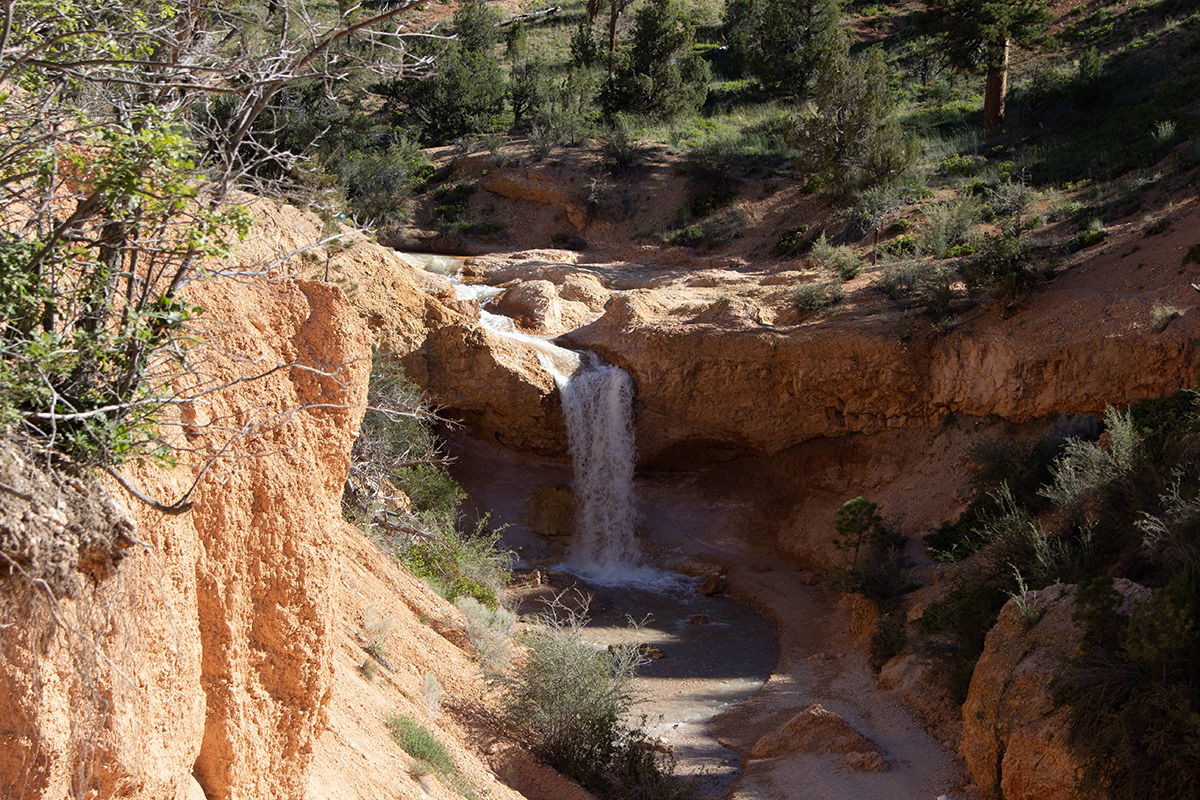 Centennial Climbs The Canyon