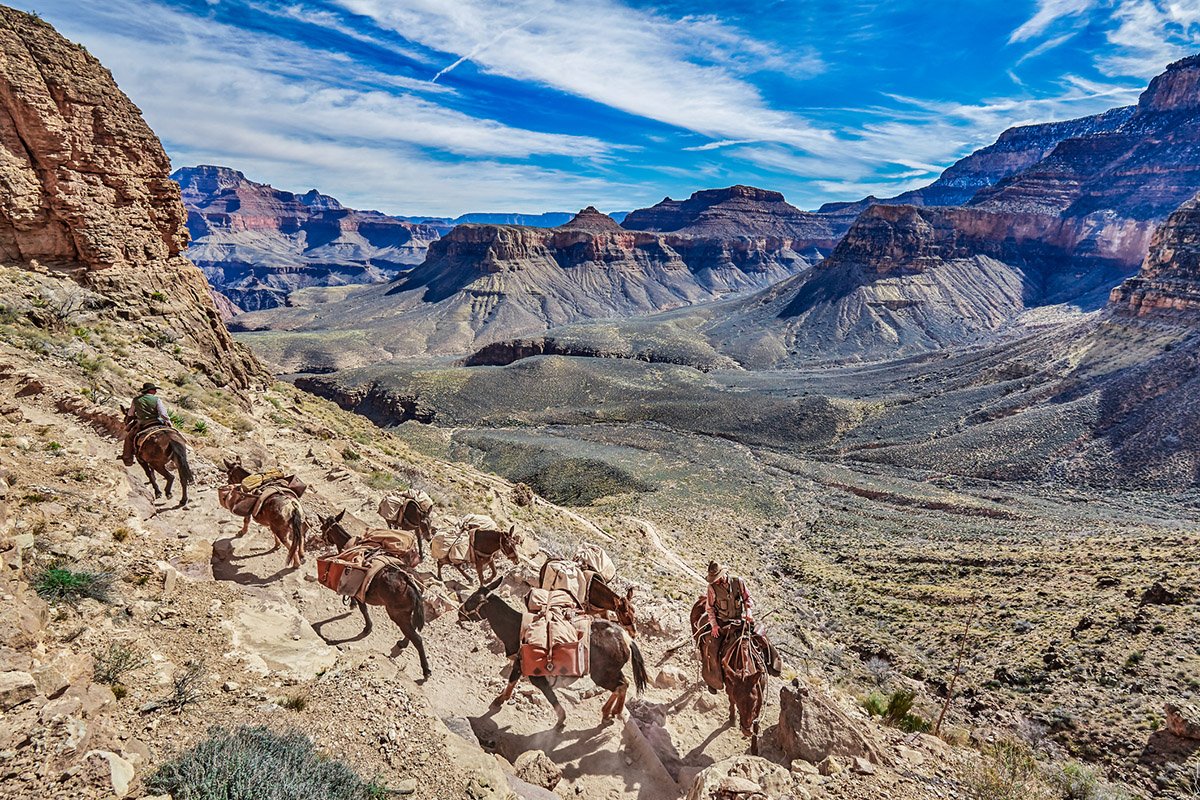 mule-ride-along-the-grand-canyon