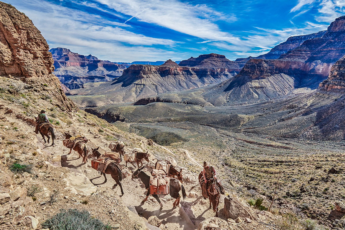 mule-ride-along-the-grand-canyon