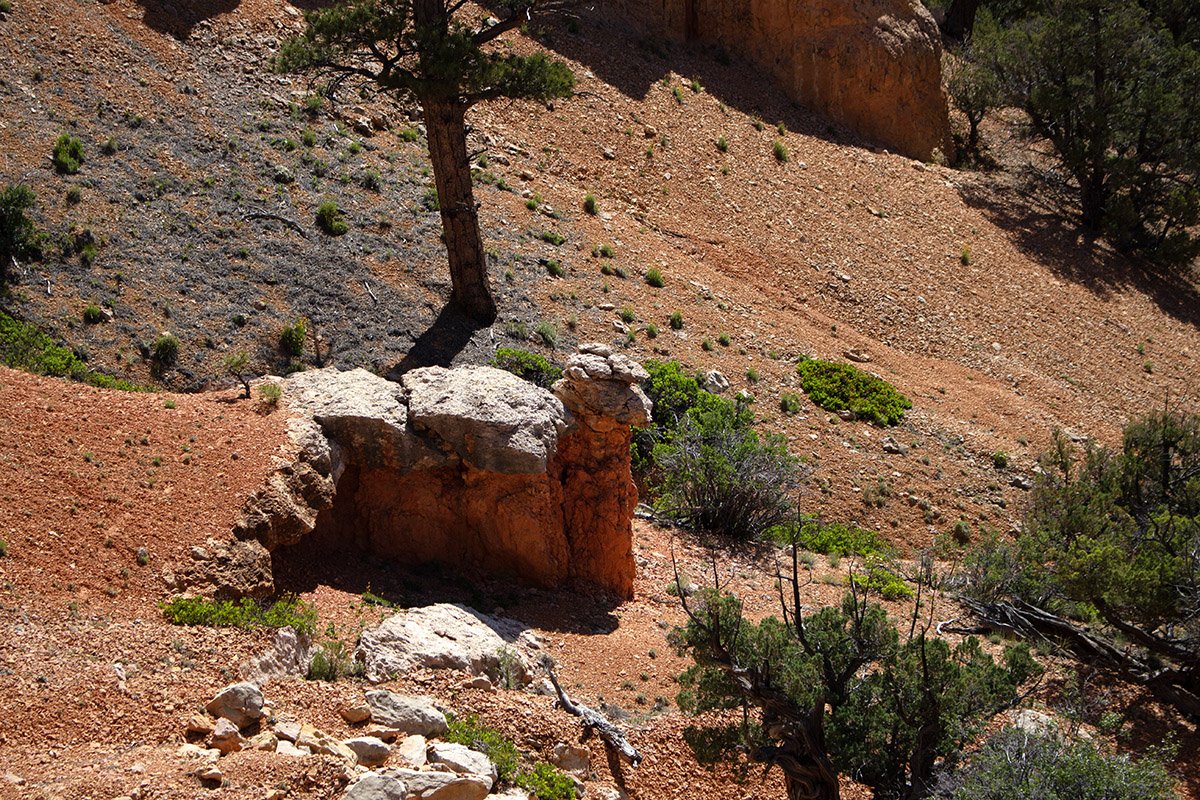 why-you-should-visit-red-canyon-dixie-national-forest