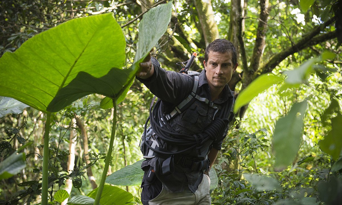 bear-grylls-reflects-on-first-tv-show