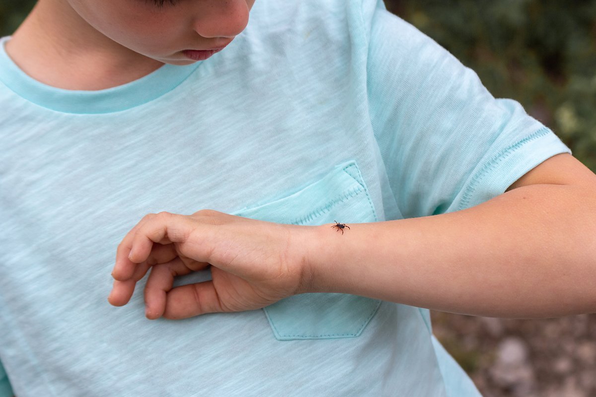 how-to-protect-yourself-against-lyme-disease