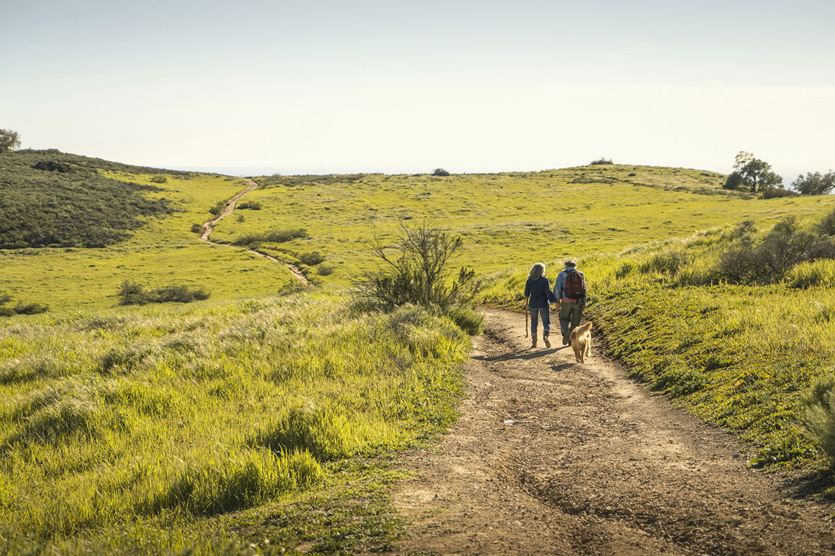 minimize-your-impact-on-local-wildlife