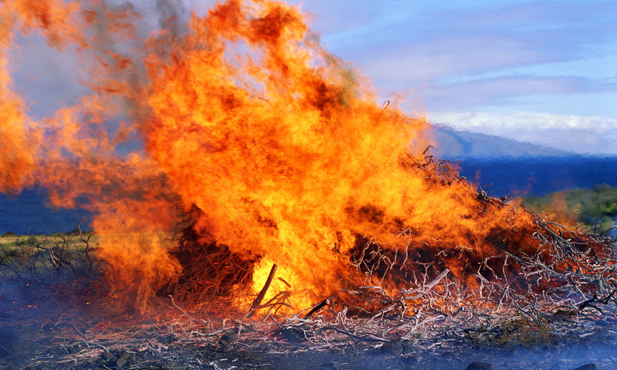 what-caused-the-maui-fires