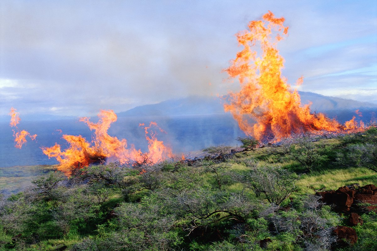 what-caused-the-maui-fires
