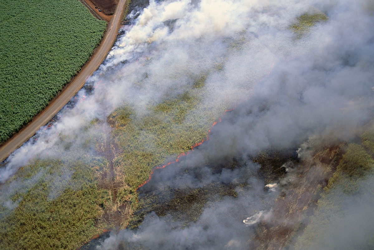 what-caused-the-maui-fires