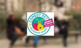 winners-of-comedy-pet-awards-announced