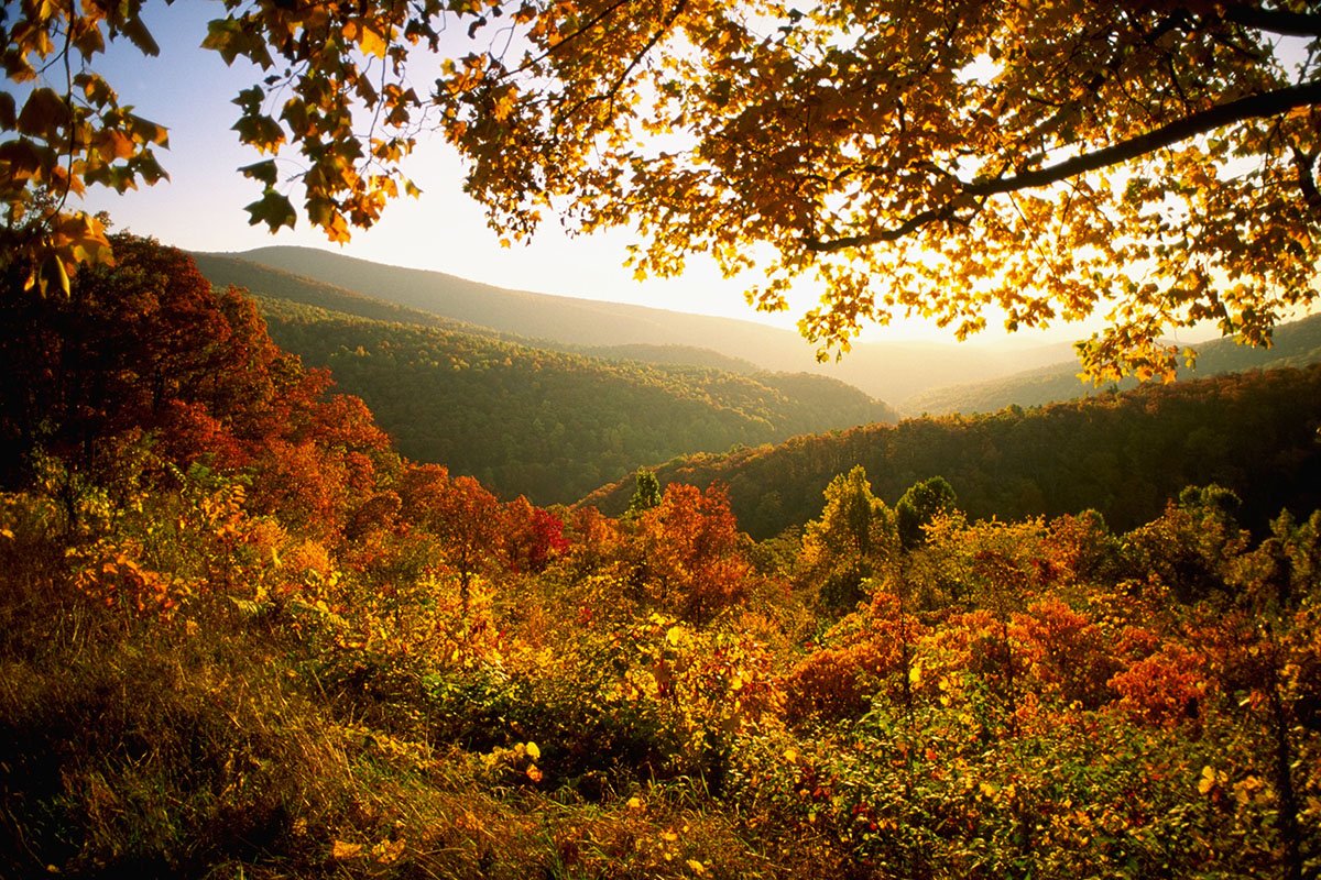 WE found the best U.S. National Parks for fall foliage