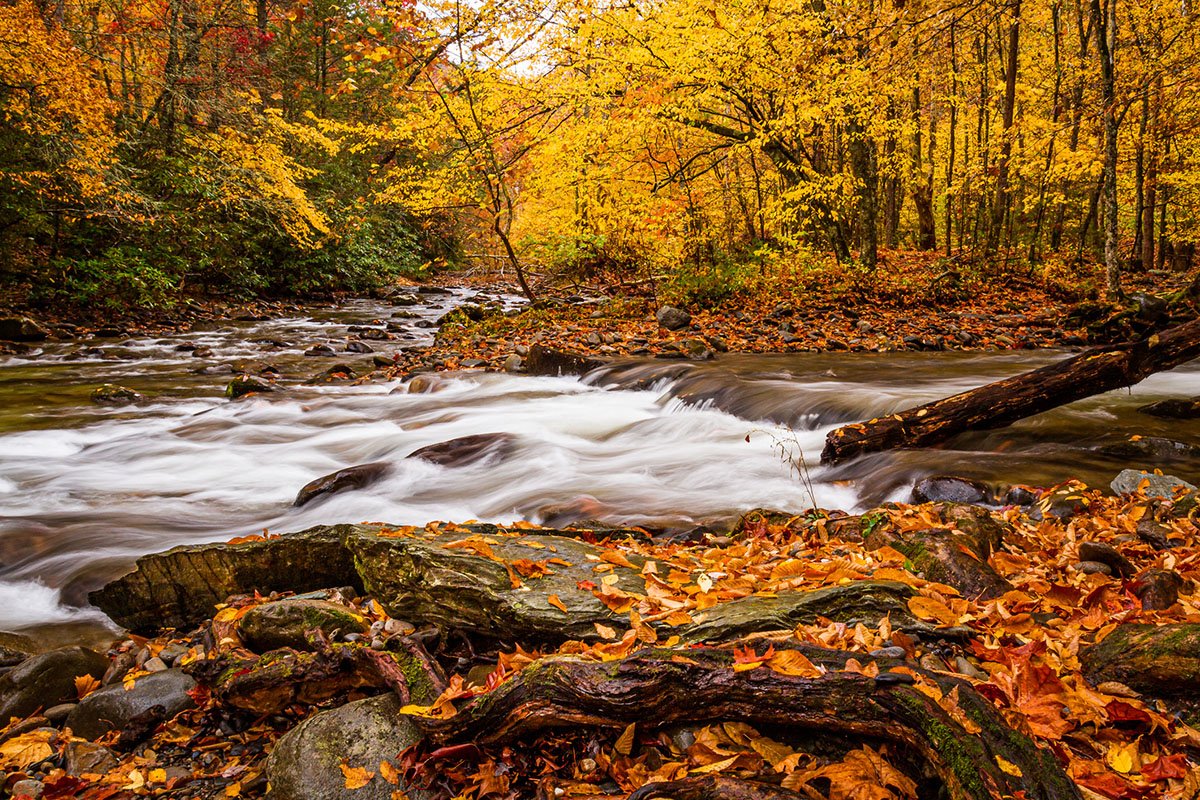 best-US-National-Parks-for-fall-foliage