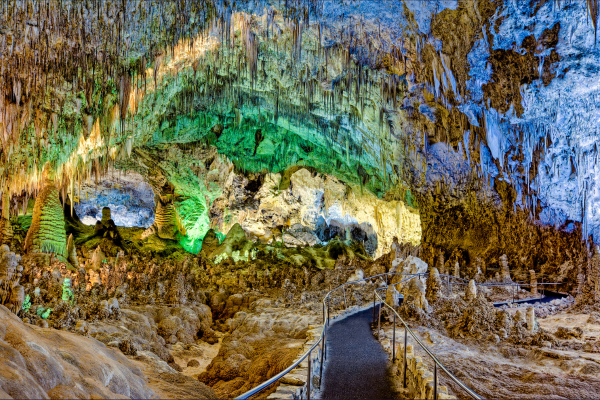 facts about Carlsbad Caverns National Park