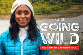 dr-rae-wynn-grant-conservation-podcast