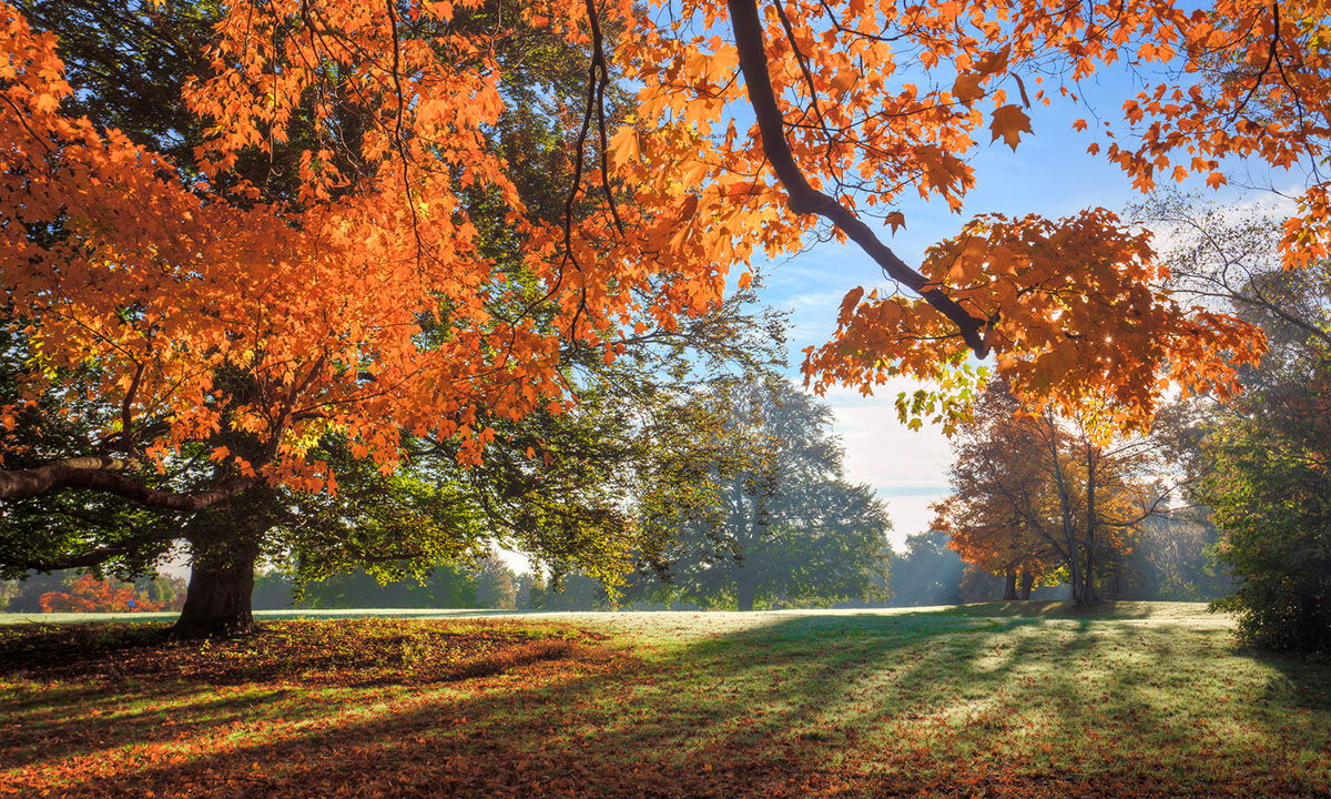 early-fall-foliage