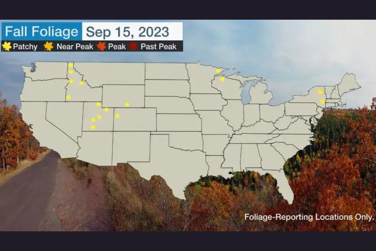 How to Find Fall Foliage Near You: The Best Websites to Guide Your Autumn Hikes