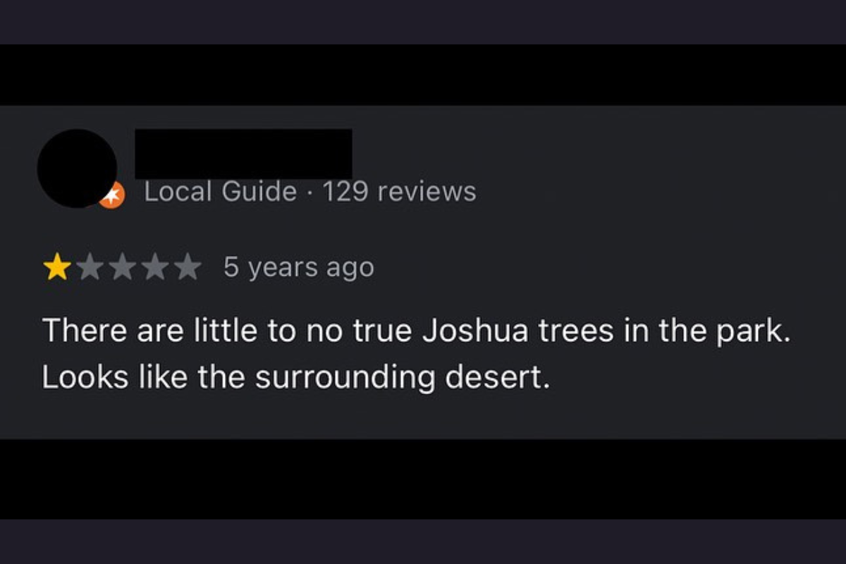 joshua tree opinion 