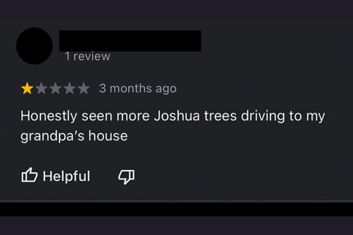 j tree reviews