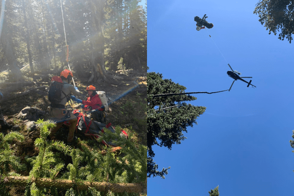 montana bear attack rescue