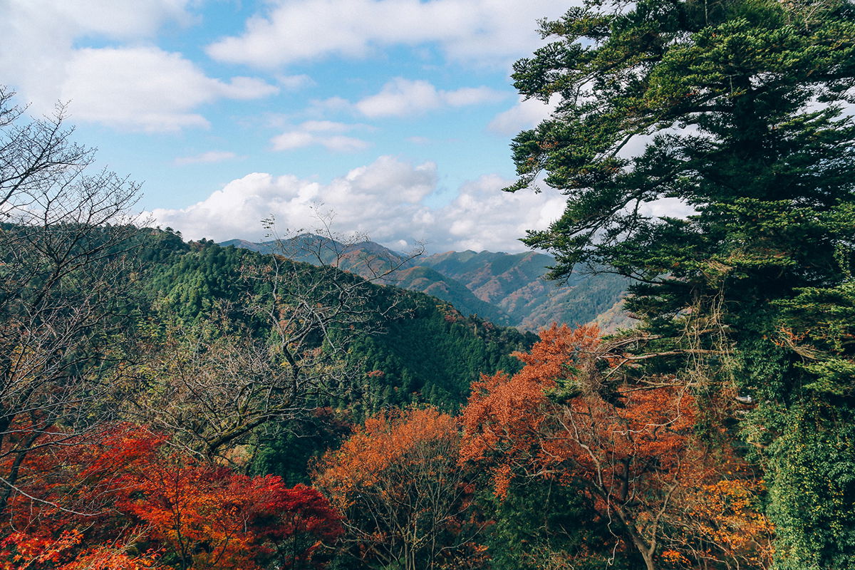 must-do-hikes-near-tokyo