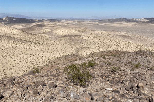 cady mountains protected area news