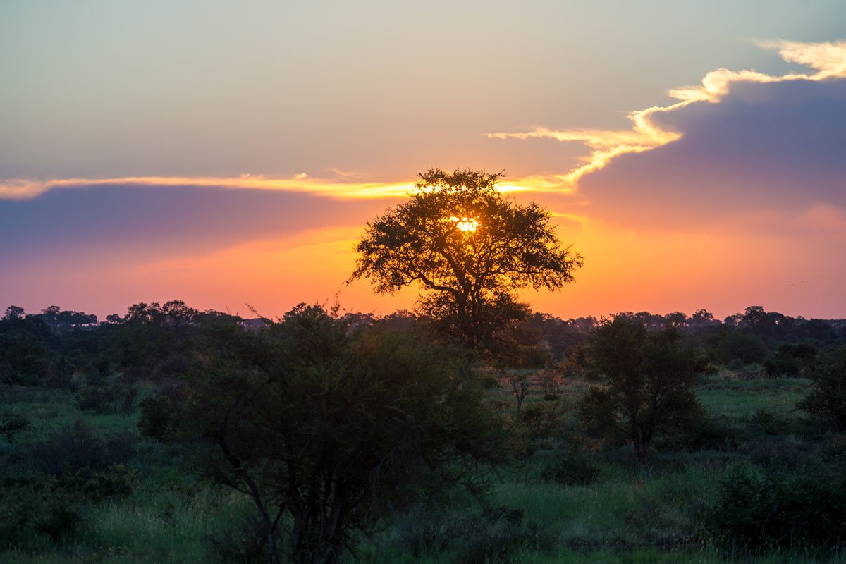 things-you-didnt-know-about-kruger-national-park