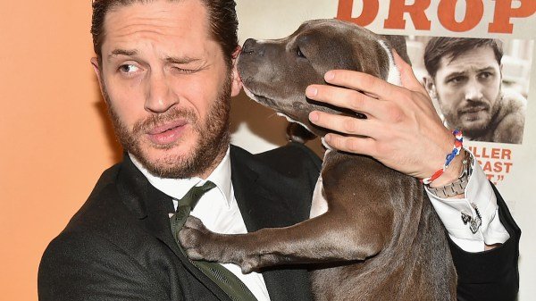 actor tom hardy with a dog