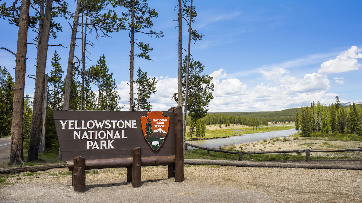 Best Selling Products yellowstone-facts-cover The July 4th Yellowstone Shootout Was Virtually a Tragedy Blog  