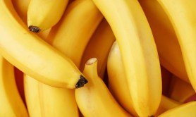 bananas-are-going-extinct