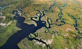 cool-things-to-see-in-Everglades-National-Park