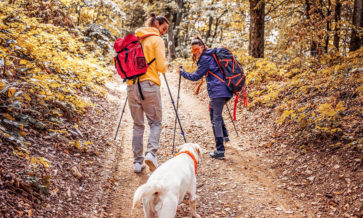 elevate-your-fall-hikes-plus-the-gear-you-need