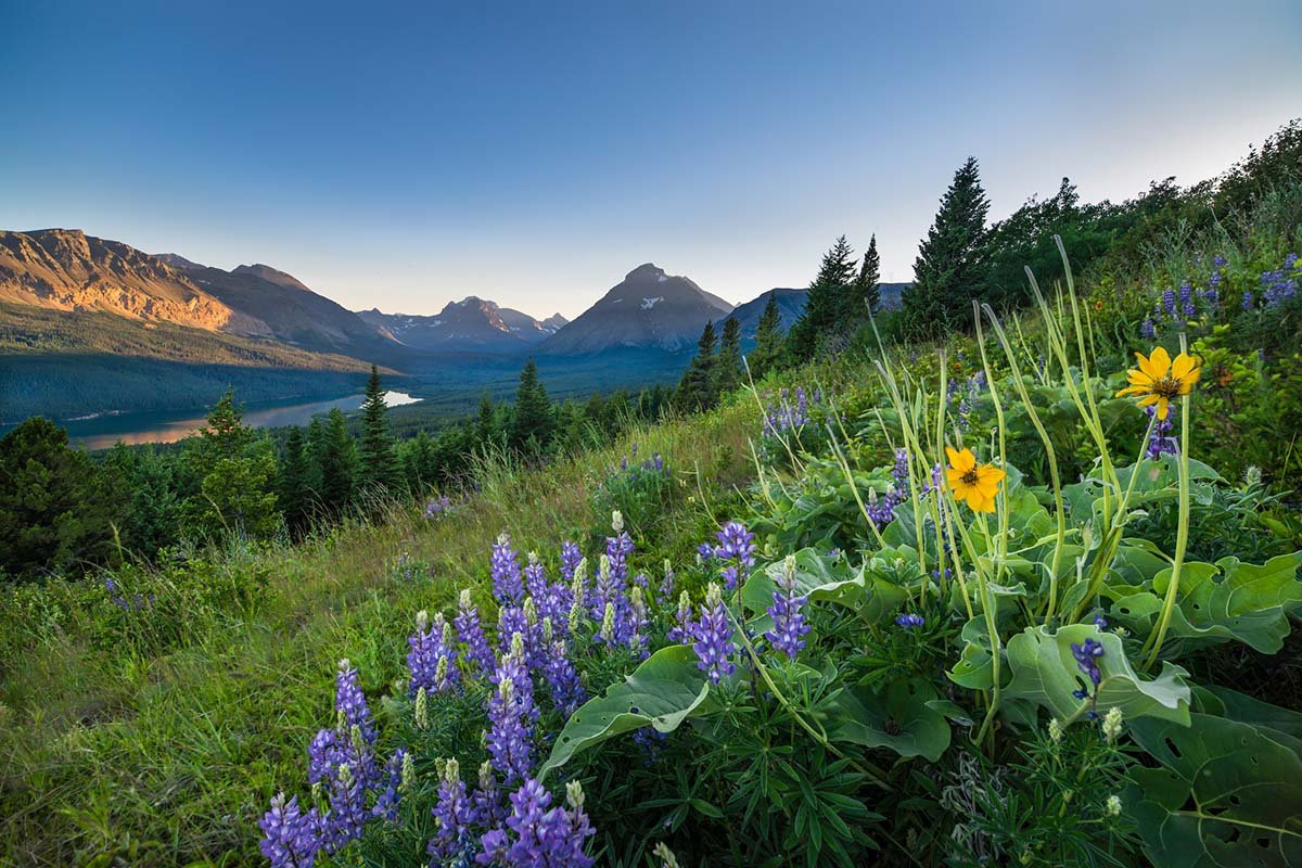 must-see-spots-in-glacier-national-park