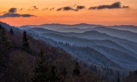 things-to-see-in-great-smoky-mountains-national-park