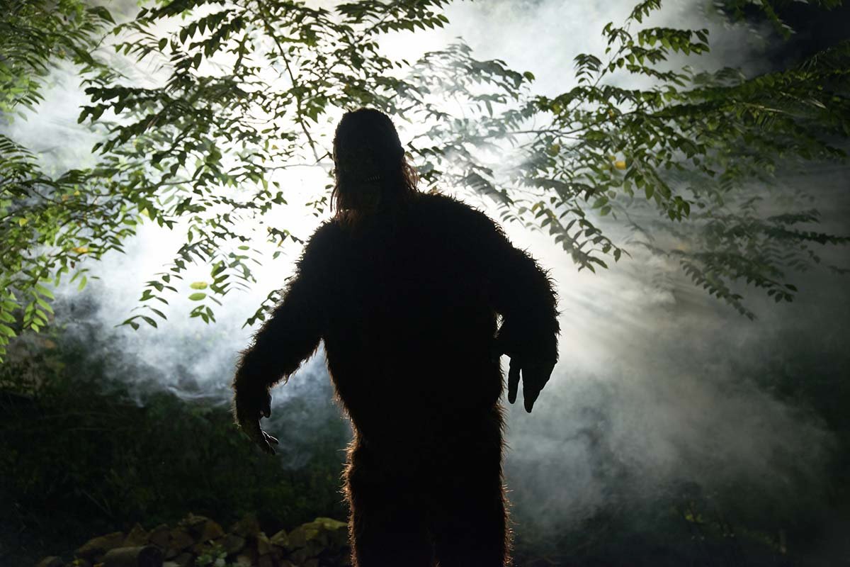 things-you-didnt-know-about-bigfoot