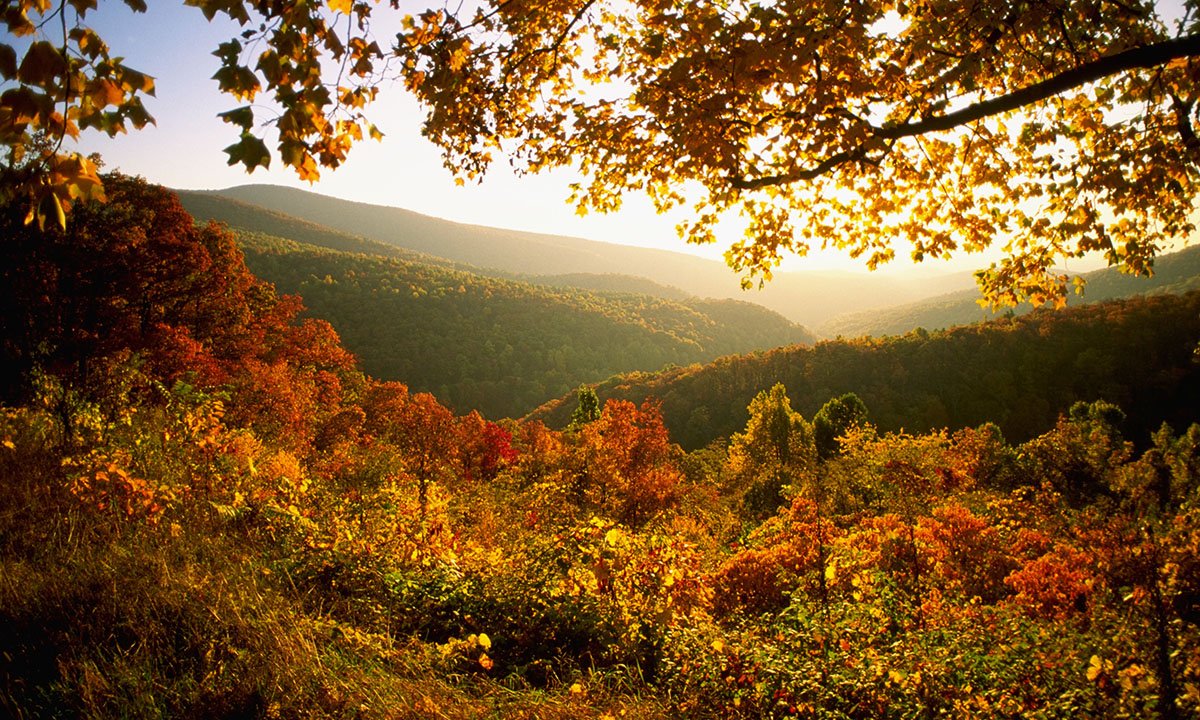 things-you-didnt-know-about-shenandoah-national-park