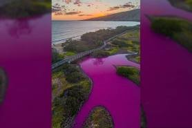 Pink pond in Maui