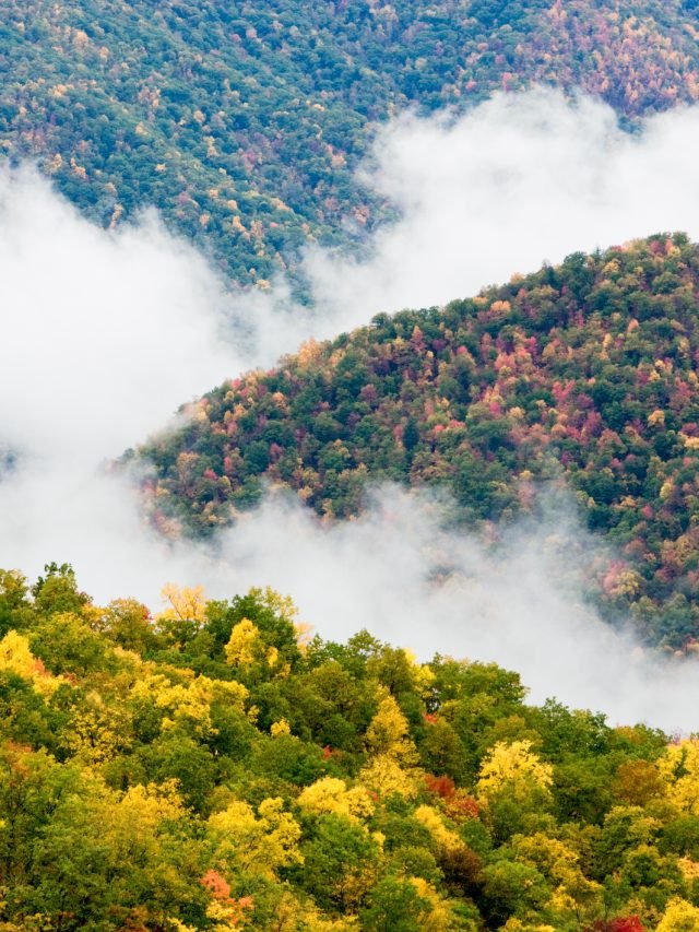 5 Things You Didn’t Know About Great Smoky Mountain National Park