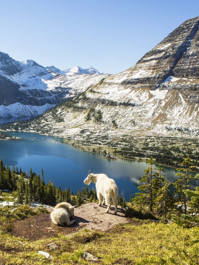 6 Things You Didn’t Know About Glacier National Park