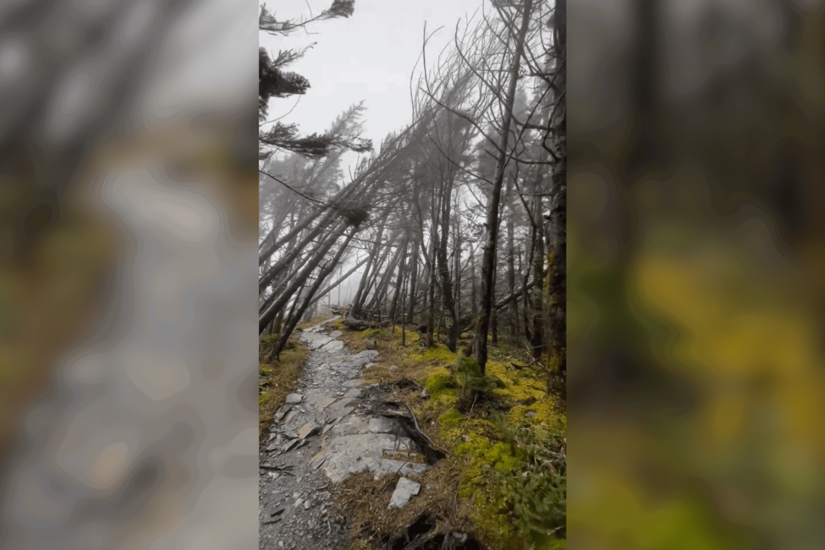 Great Smoky Mountains wind