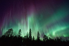 Northern-Lights-Feature Image