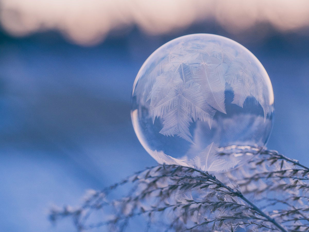 Best Selling Products Winter-wonderland WATCH: This Magical Winter Scene Is Straight out of Narnia Blog  