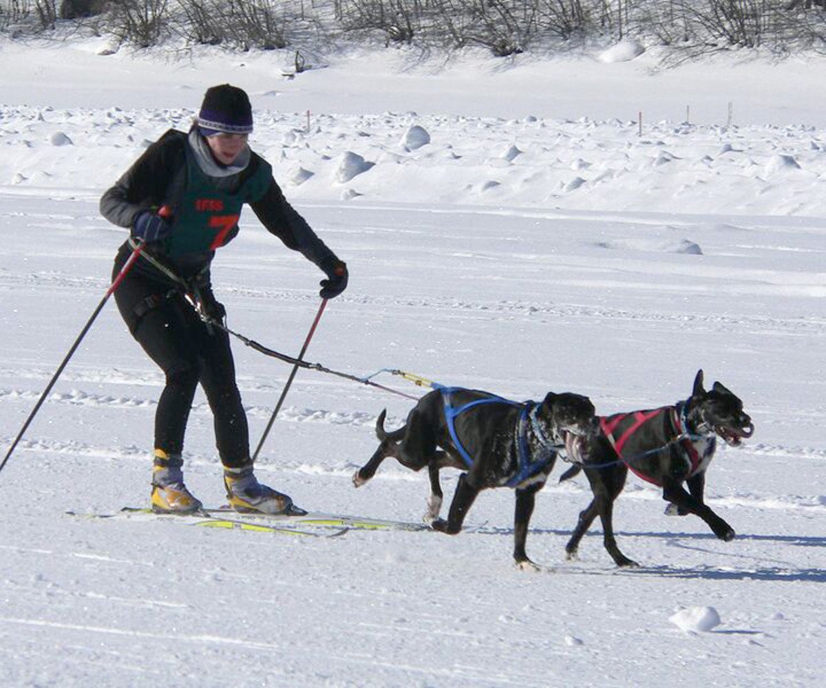 SkiJoring-quirky-sports
