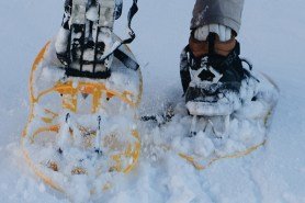best-snowshoes