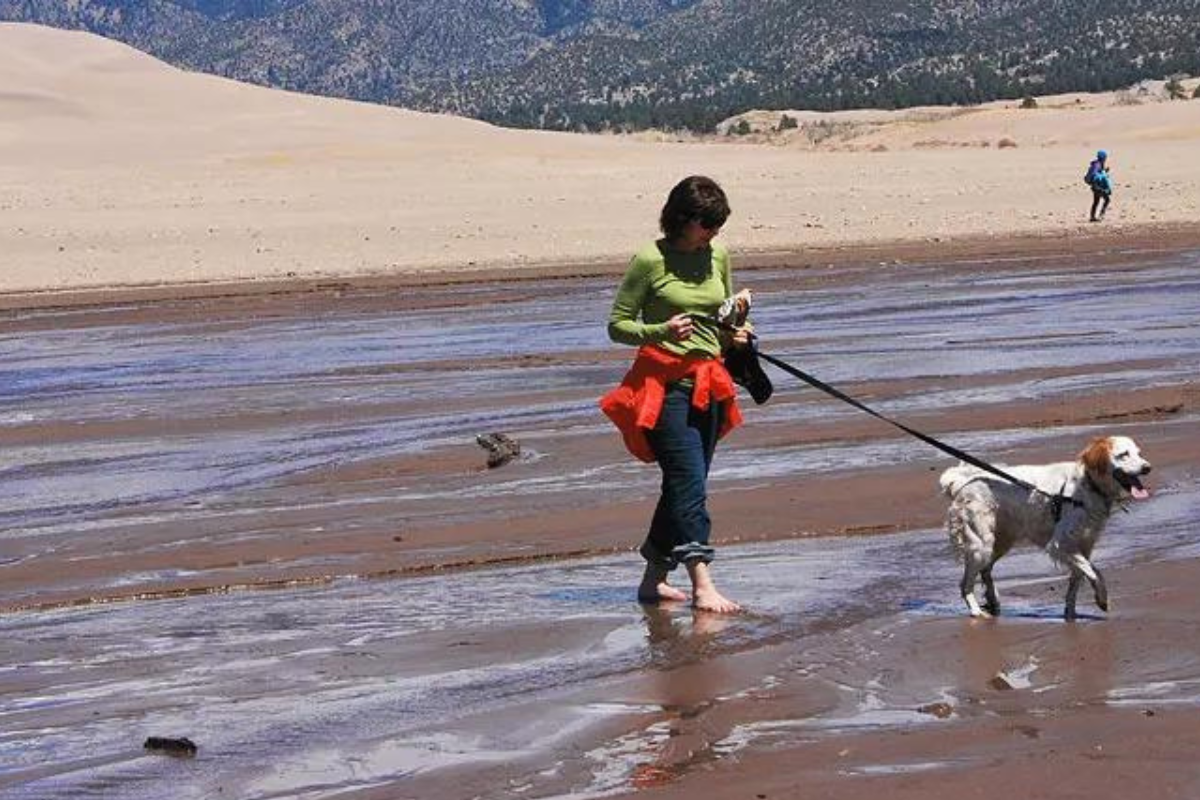 dog at great sand dune national park