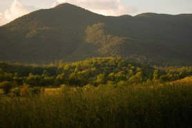 guide-to-cades-cove-great-smoky-mountains-national-park