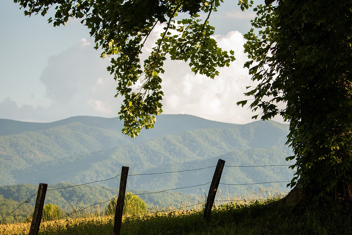 guide-to-cades-cove-great-smoky-mountains-national-park