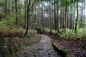hiking-japan-nakasendo-trail