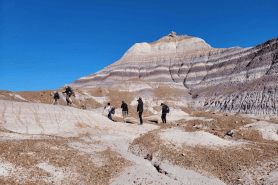 Hikes in Petrified Forest