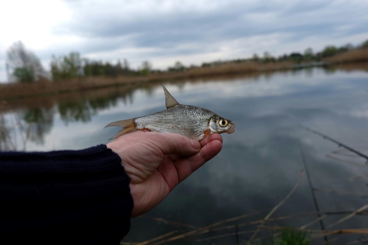 fishing