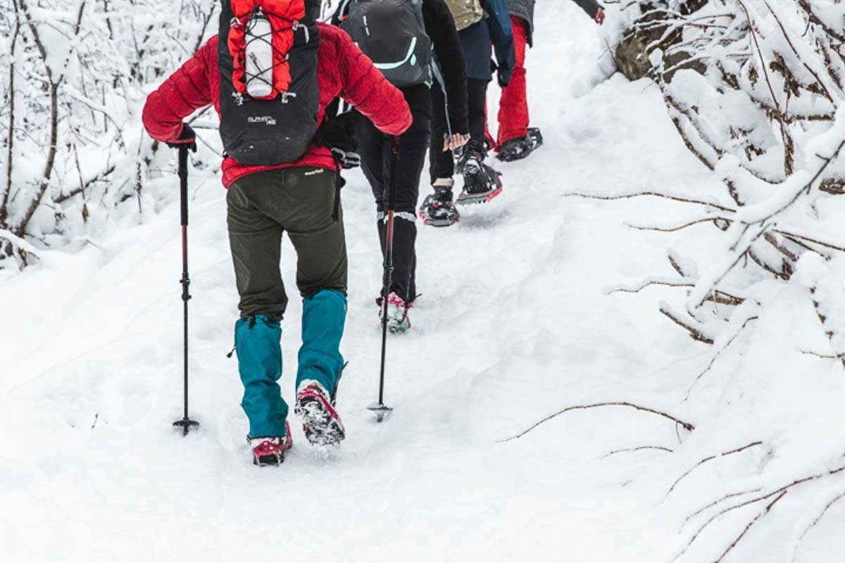 What are people wearing for winter hiking/snowshoeing pants