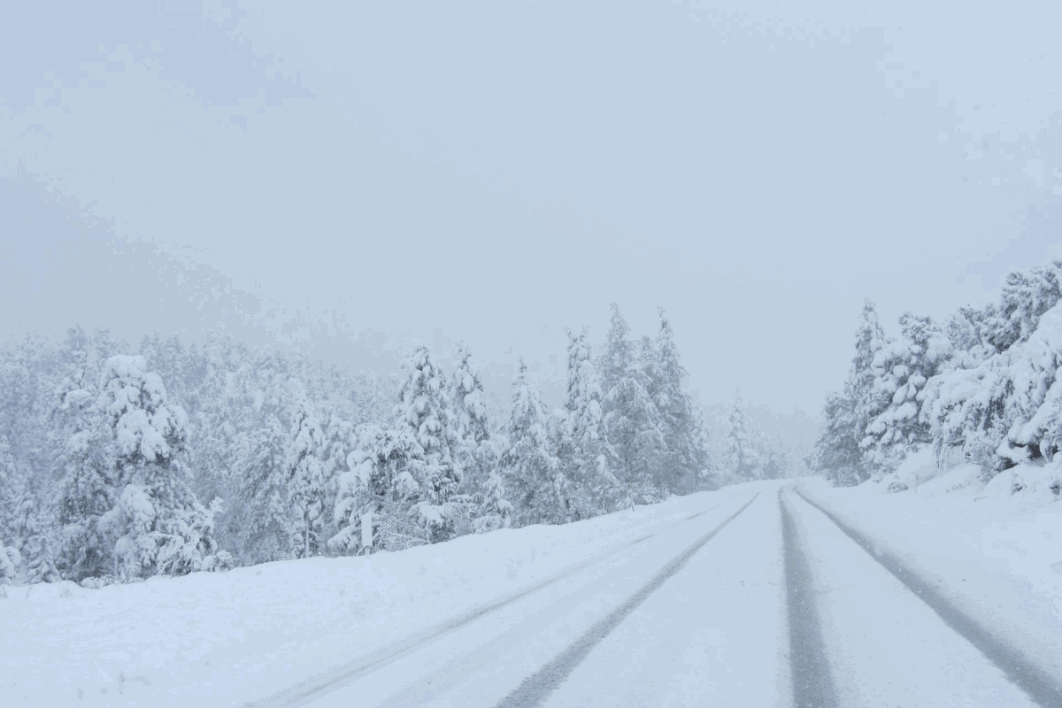 An area near where the avalanche video was filmed.