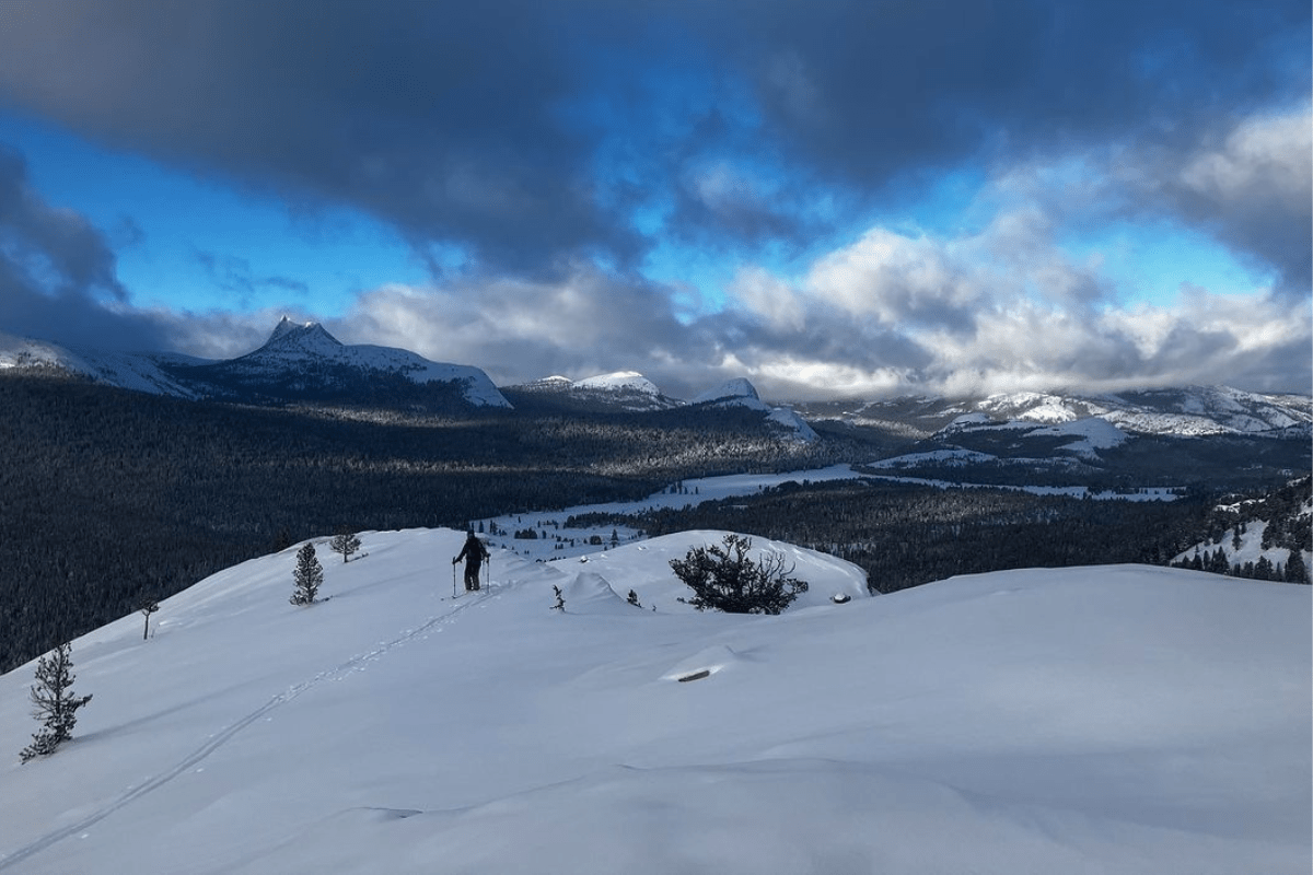 winter visits to a national park