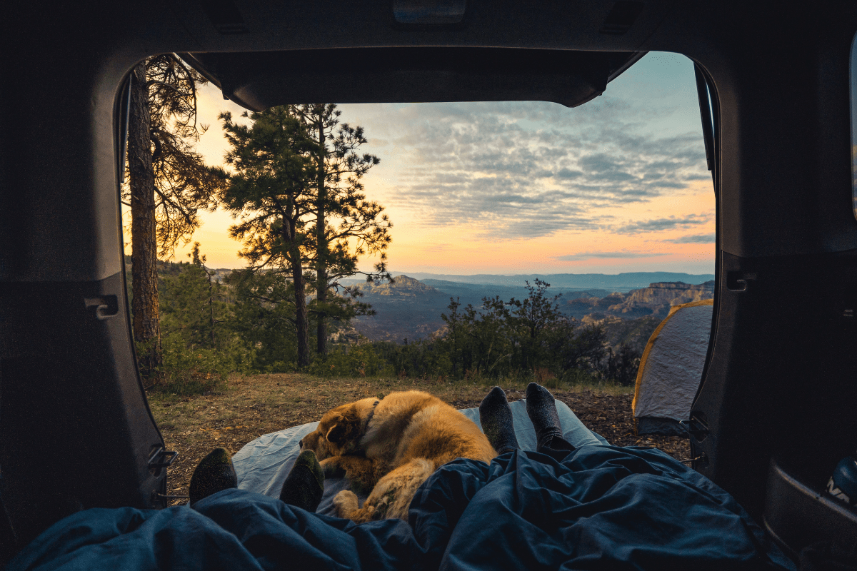 2024 camping essentials — everything you need for a successful trip  - cover